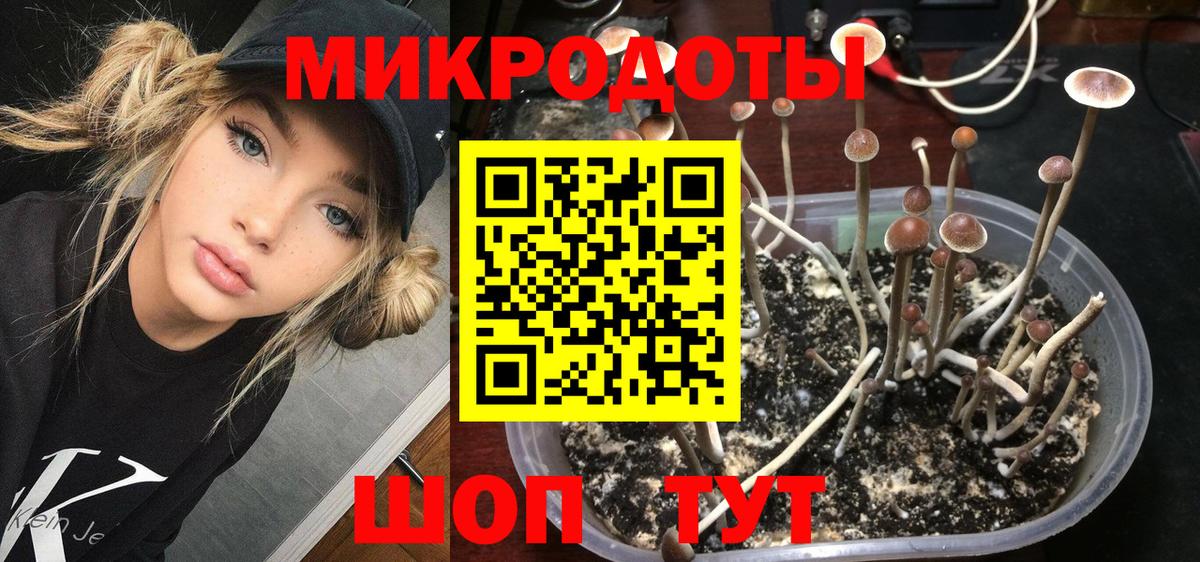 Галлюциногенные грибы мицелий Красноармейск