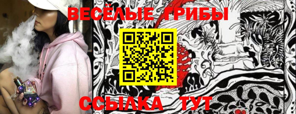 Красноармейск  Псилоцибиновые грибы Cubensis  Вход с VPN 
